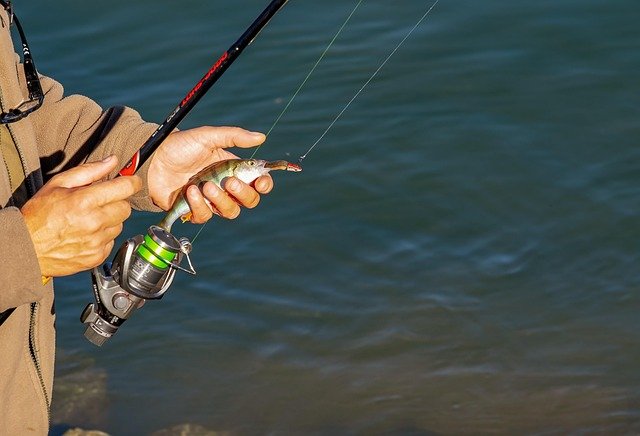 Fishing